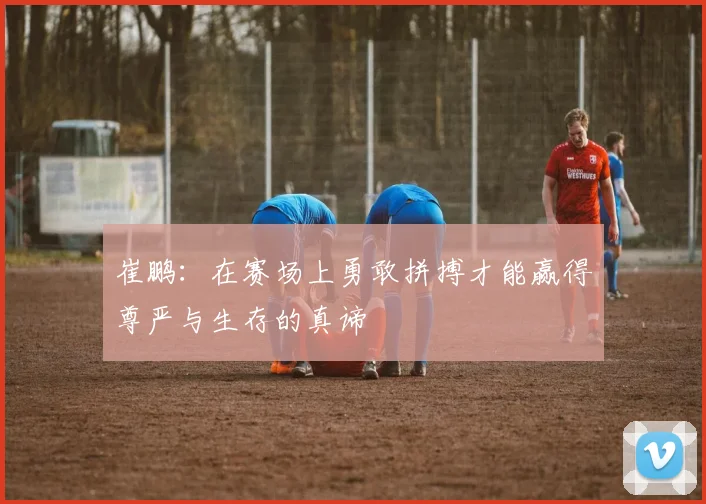 崔鹏：在赛场上勇敢拼搏才能赢得尊严与生存的真谛